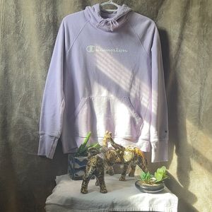 lilac purple champion hoodie! really comfy and new